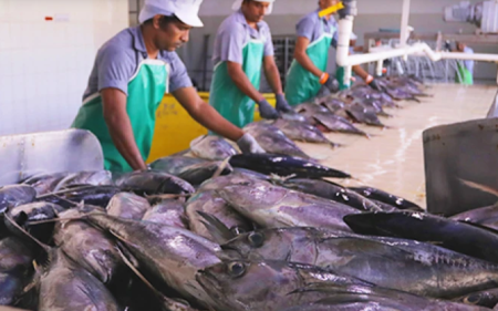 ފުވައްމުލައް ސިޓީގެ މަސް ޕްރޮސެސިންގ ފެސިލިޓީ ހުޅުވައިފި