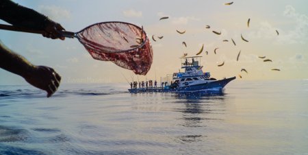 އަހަރުގެ ފުރަތަމަ ދުވަހު 25 ދޯންޏަކުން މިފްކޯއަށް މަސްކިރުވި