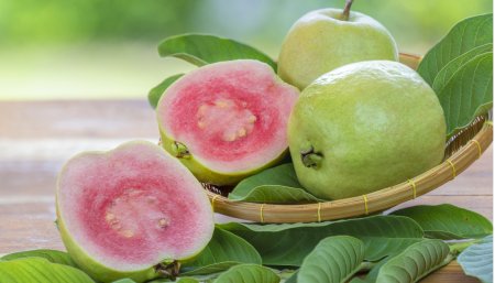 ފޭރާއި އޭގެ ސިއްޚީ ފައިދާ