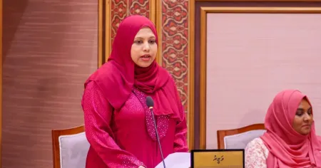 އެމްއެމް ޓީވީ ހަދަން އެންސްޕާ އިން އެއްވެސް ހަރަދެއް ކޮށްފައެއްނުވާނެ: ހީނާ